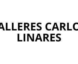 TALLLERES CARLOS LINARES